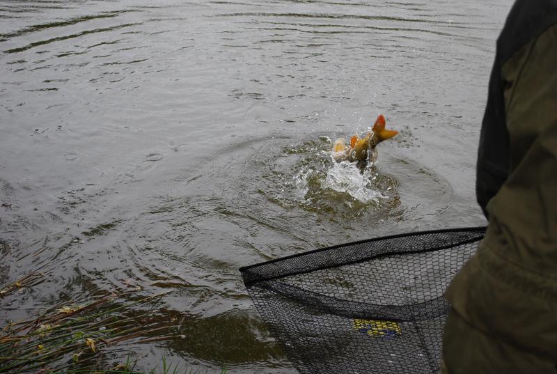 Manor Farm Coarse Fishing Anglers of the Future (36).jpg